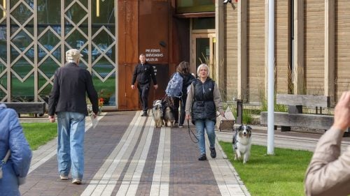 Suņu diena muzejā “Citādi par suņiem”