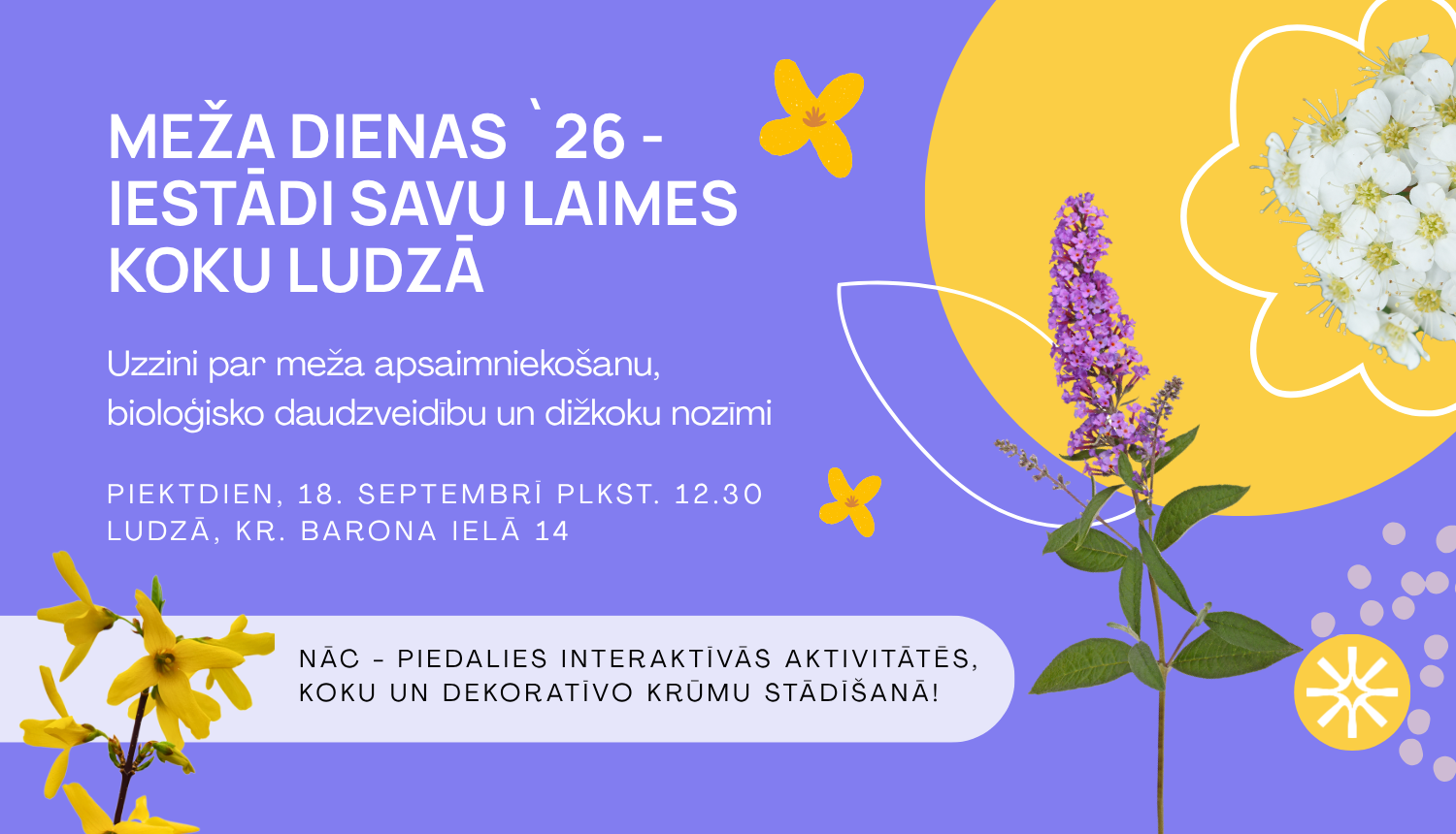 Meža dienas`26 - iestādi savu laimes koku Ludzā