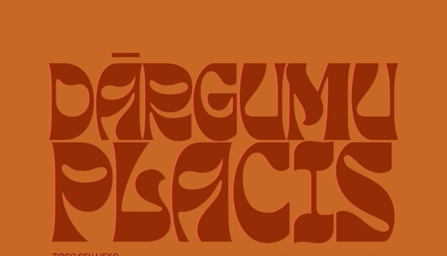 Pirmais "Dārgumu placis" Jaunmārupē