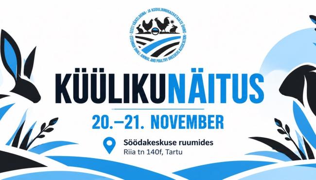 Küülikunäitus